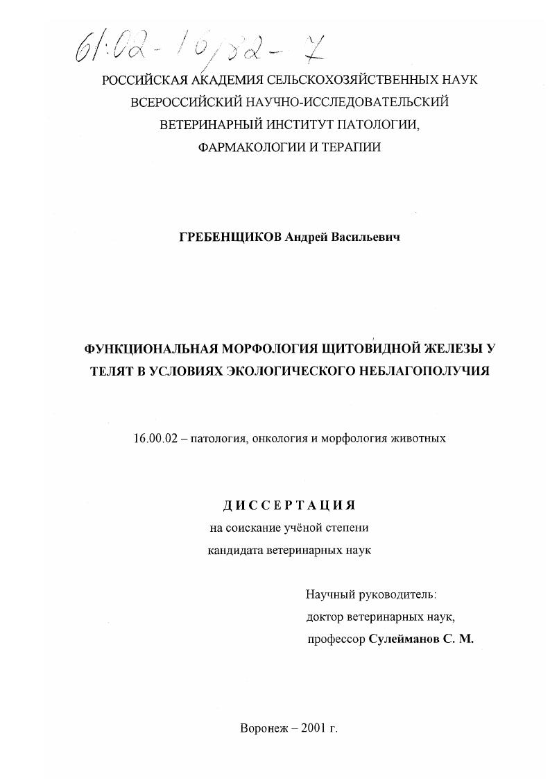Функциональная морфология щитовидной железы у телят в условиях экологического неблагополучия