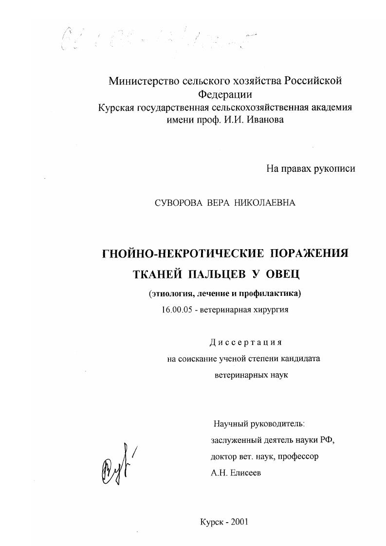 Гнойно-некротические поражения тканей пальцев у овец : Этиология, лечение и профилактика