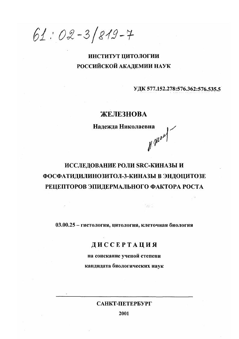 Исследование роли Src-киназы и фосфатидилинозитол-3-киназы в эндоцитозе рецепторов эпидермального фактора роста