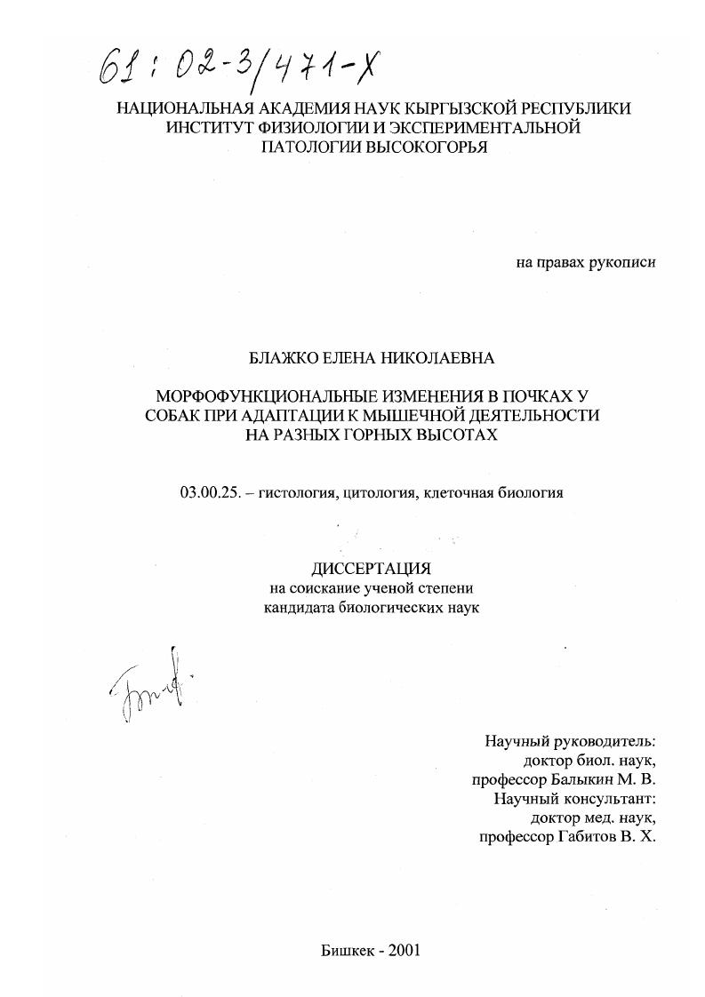 Морфофункциональные изменения в почках у собак при адаптации к мышечной деятельности на разных горных высотах