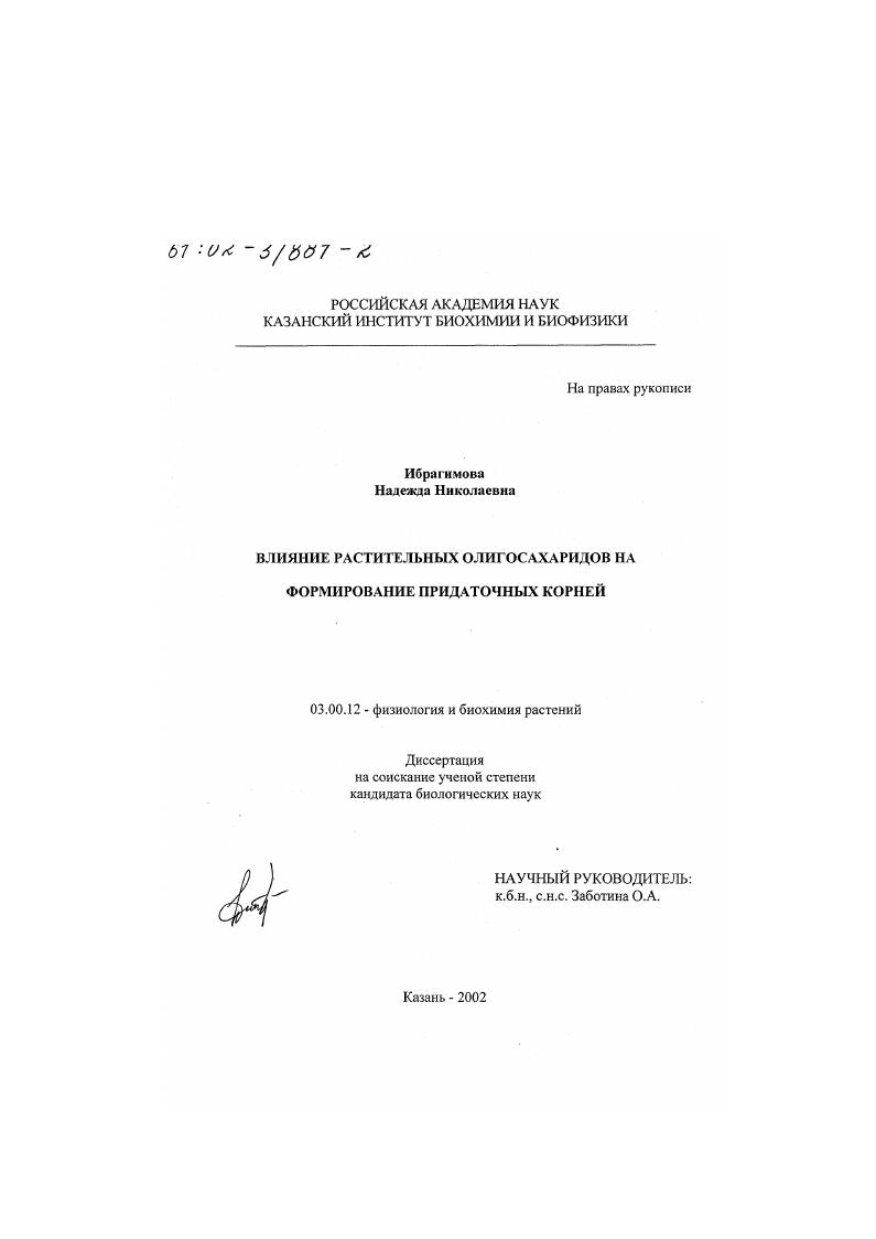 Влияние растительных олигосахаридов на формирование придаточных корней