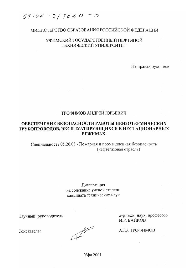 Обеспечение безопасности работы неизотермических трубопроводов, эксплуатирующихся в нестационарных режимах