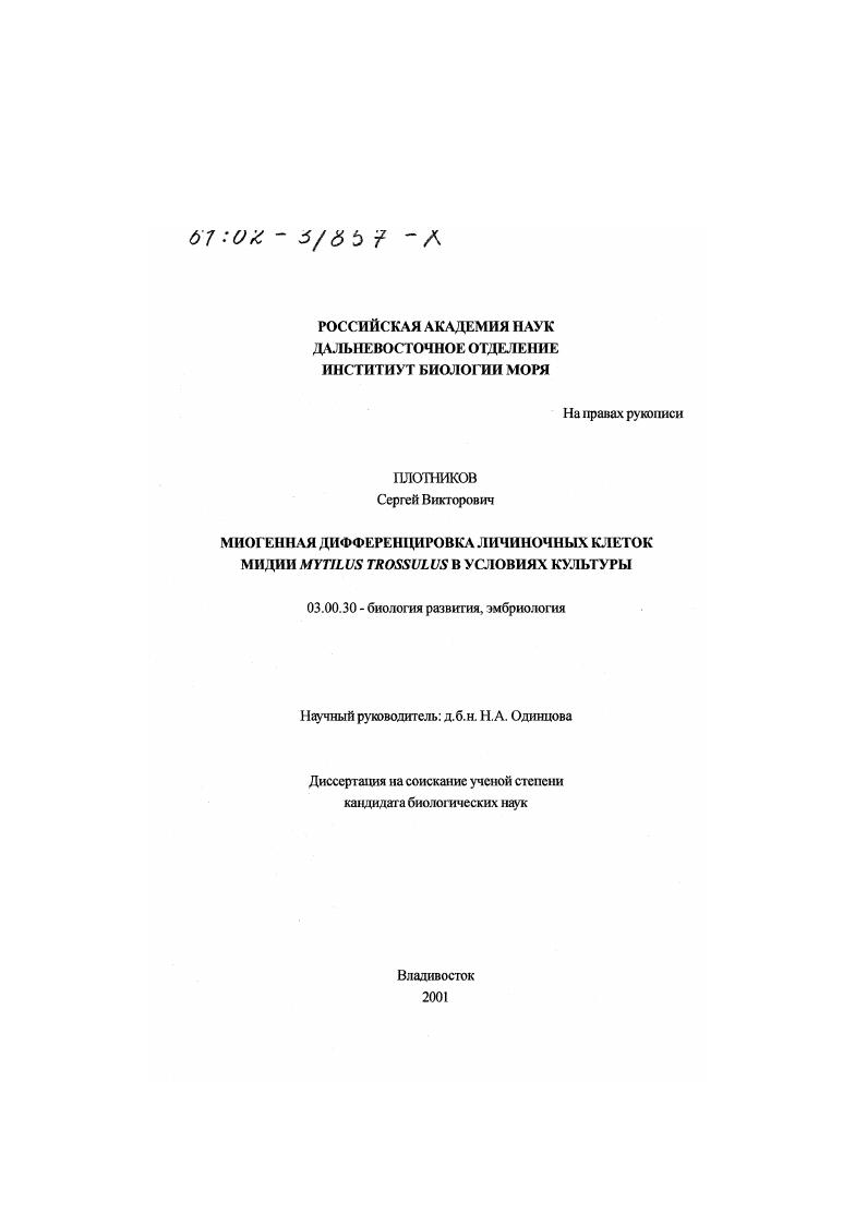 Миогенная дифференцировка личиночных клеток мидии Mytilus trossulus в условиях культуры