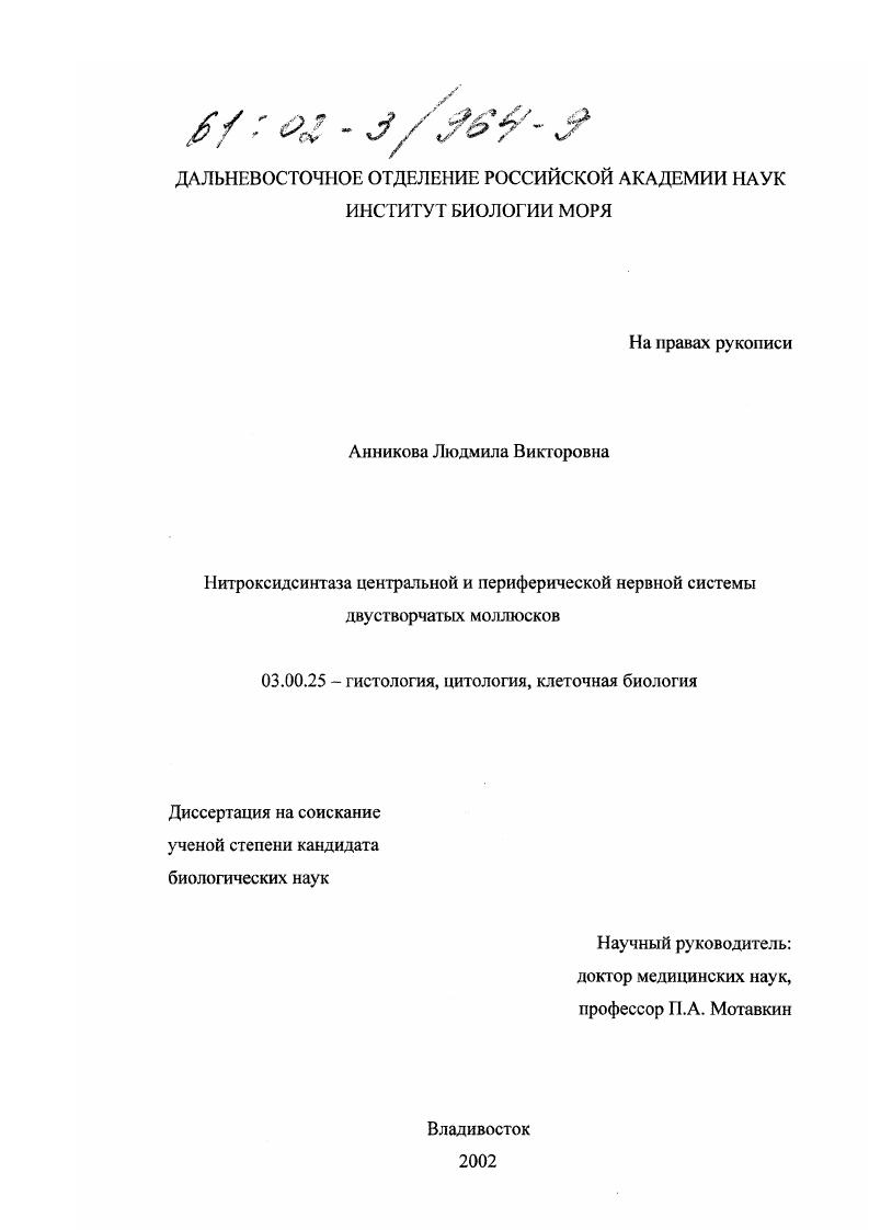Нитроксидсинтаза центральной и периферической нервной системы двустворчатых моллюсков