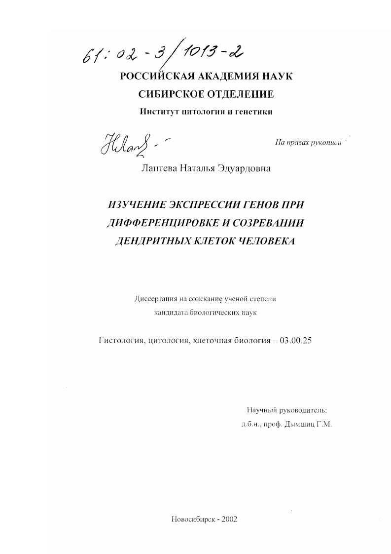 скачать диссертацию Изучение экспрессии генов при дифференцировке и созревании дендритных клеток человека Изучение экспрессии генов при дифференцировке и созревании дендритных клеток человека