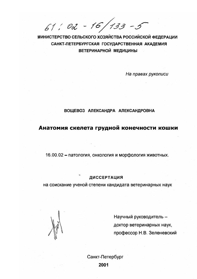 Анатомия скелета грудной конечности кошки