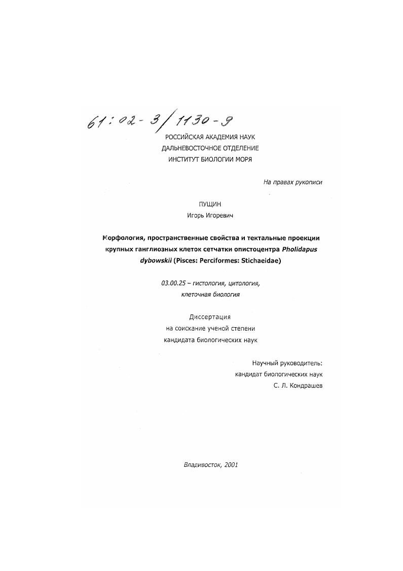 Морфология, пространственные свойства и тектальные проекции крупных ганглиозных клеток сетчатки опистоцентра Pholidapus Dybowskii (Pisces: Perciformes: Stichaeidae)