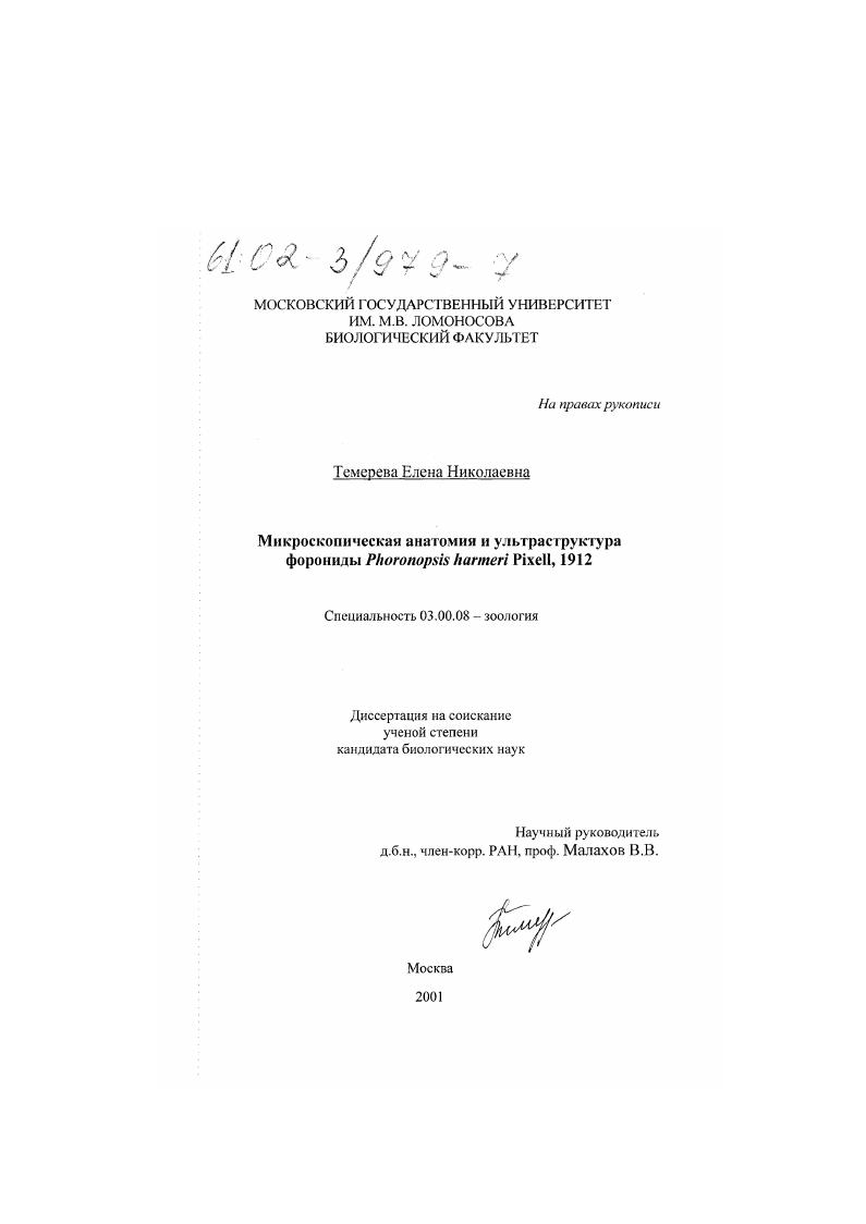 Микроскопическая анатомия и ультраструктура форониды Phoronopsis harmeri Pixell, 1912