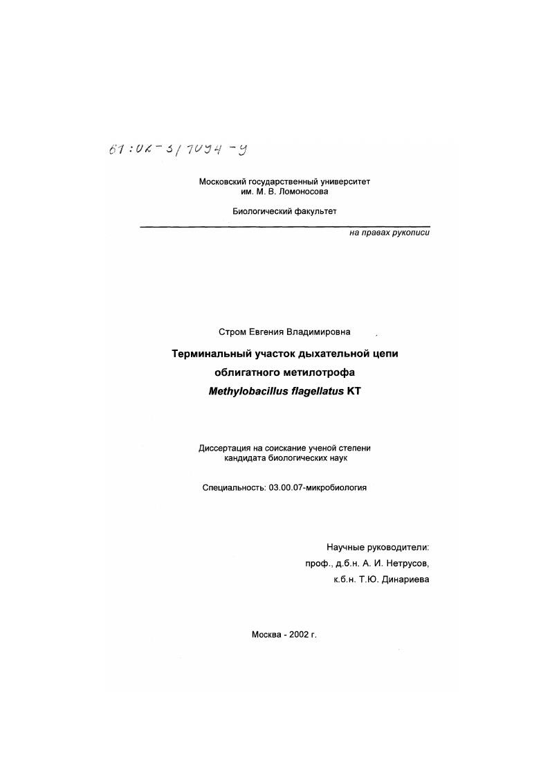 Терминальный участок дыхательной цепи облигатного метилотрофа Methylobacillus flagellatus KT