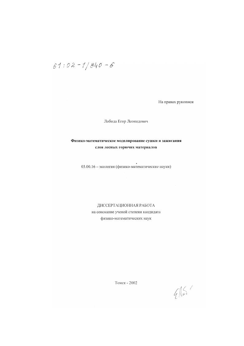 Физико-математическое моделирование сушки и зажигания слоя лесных горючих материалов