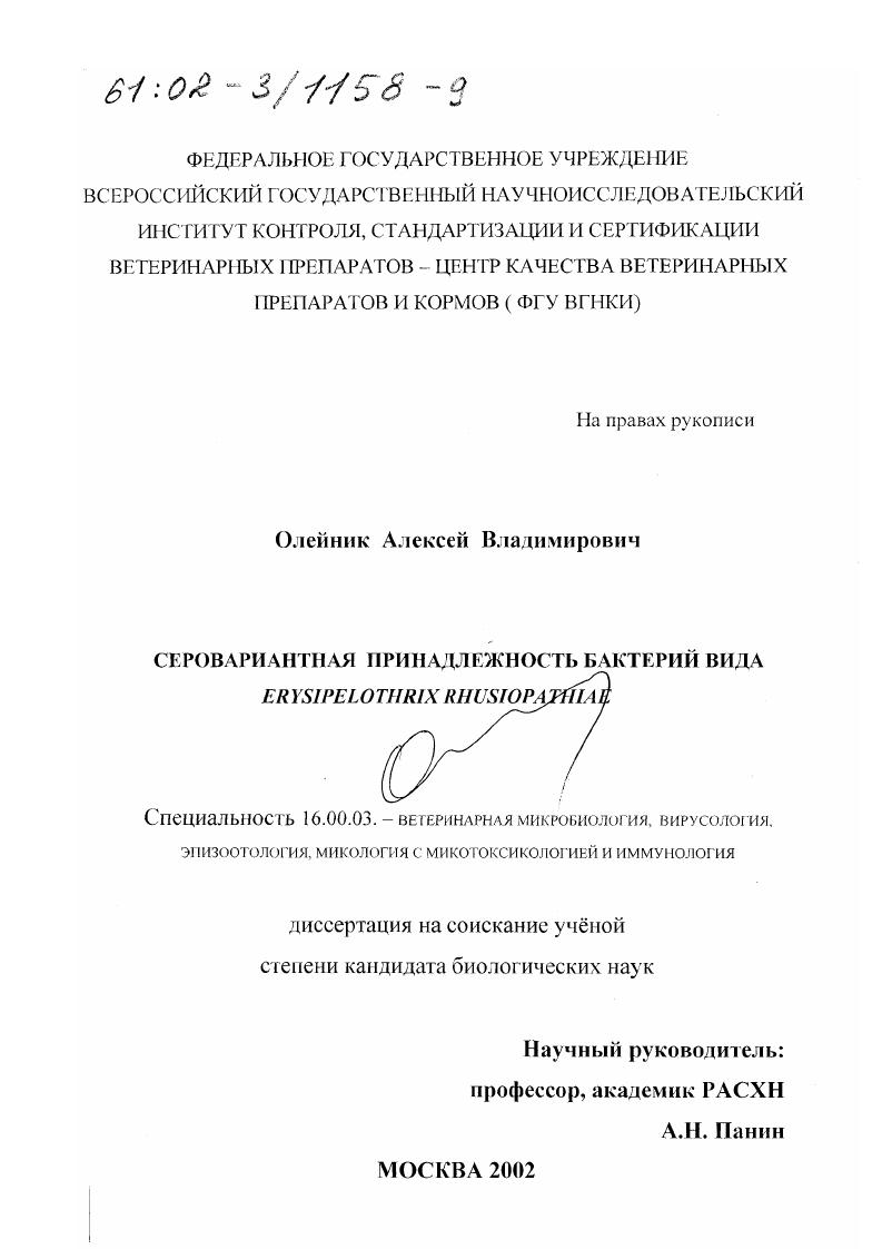 Серовариантная принадлежность бактерий вида Erysipelothrix rhusiopathiae