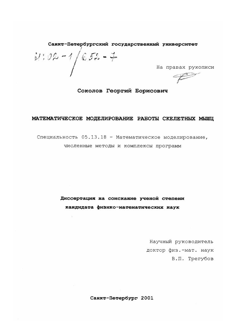 Математическое моделирование работы скелетных мышц