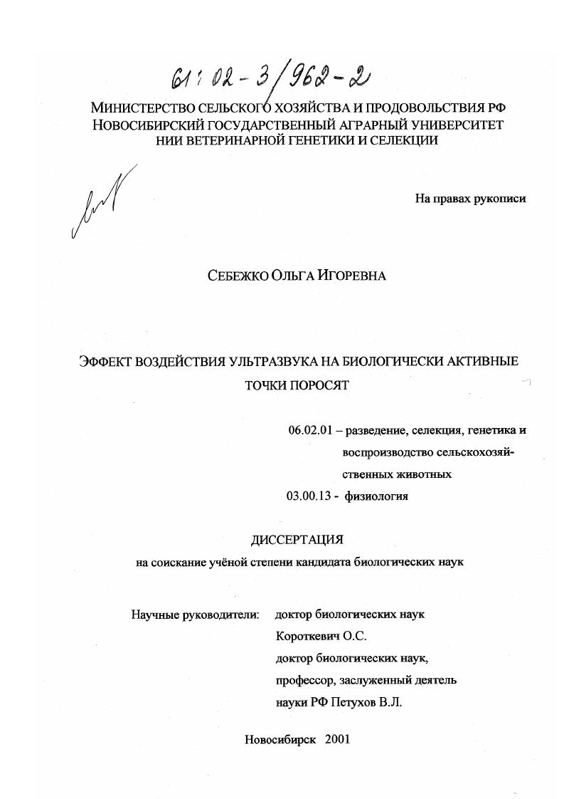 Эффект воздействия ультразвука на биологически активные точки поросят