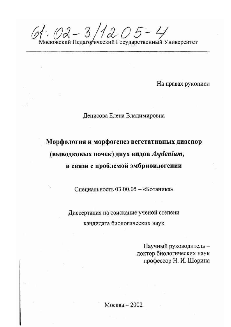 Морфология и морфогенез вегетативных диаспор (выводковых почек) двух видов Asplenium L., в связи с проблемой эмбриоидогении