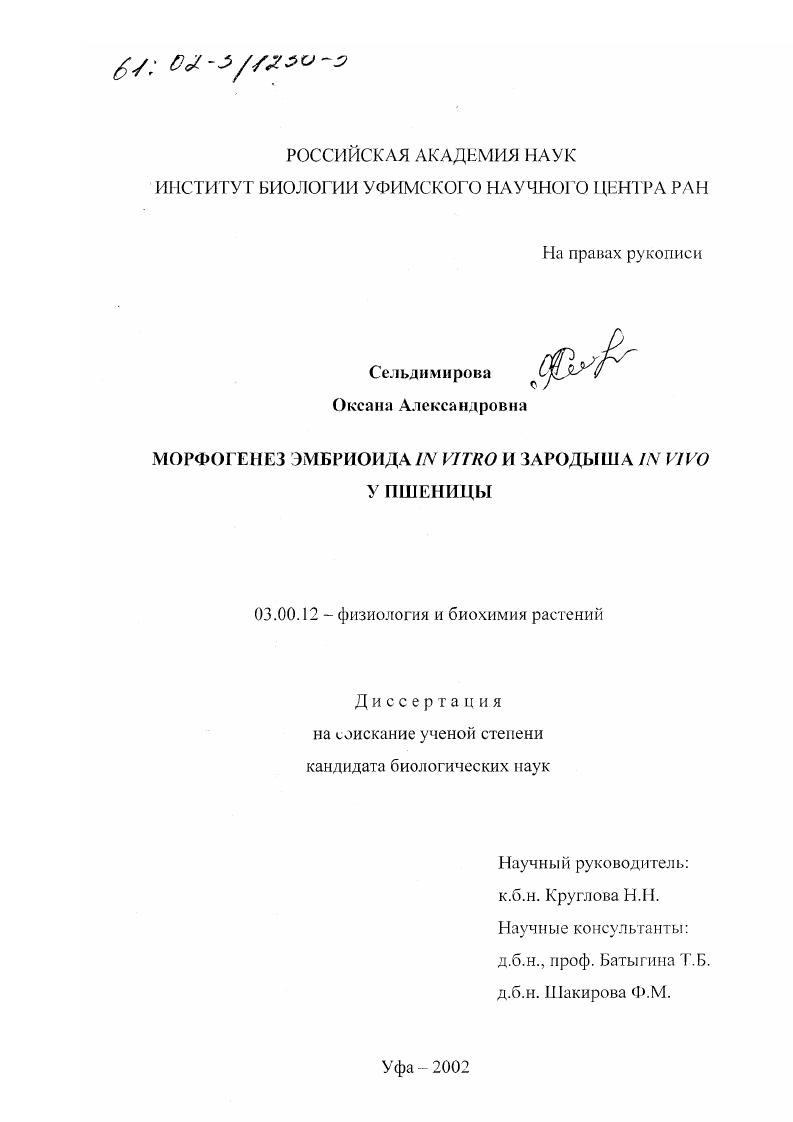 Морфогенез эмбриоида in vitro и зародыша in vivo у пшеницы