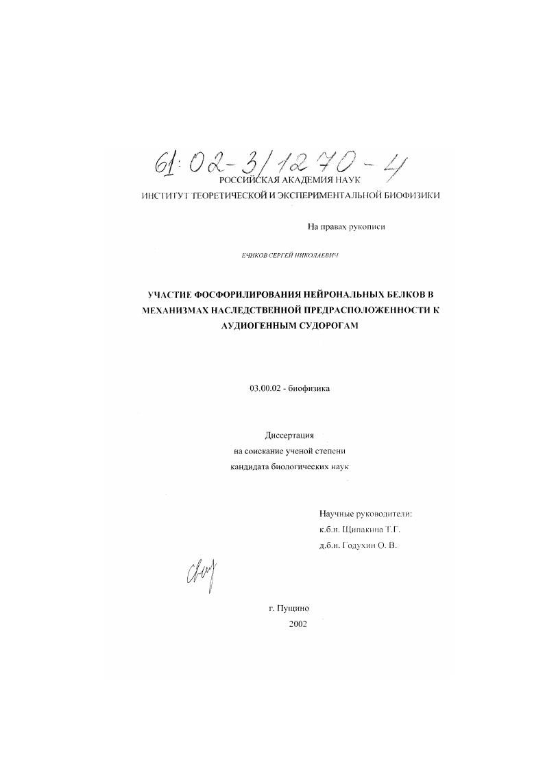 Участие фосфорилирования нейрональных белков в механизмах наследственной предрасположенности к аудиогенным судорогам