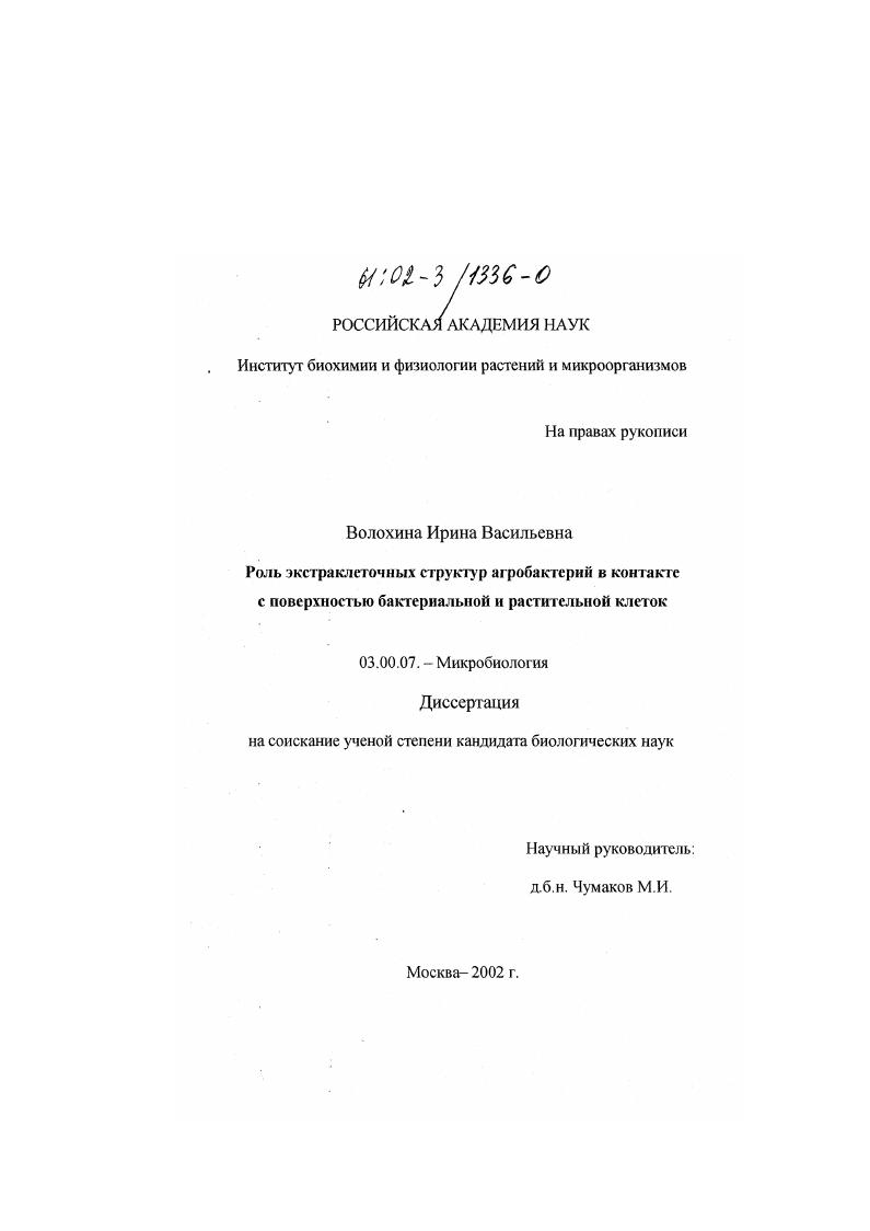 Роль экстраклеточных структур агробактерий в контакте с поверхностью бактериальной и растительной клеток