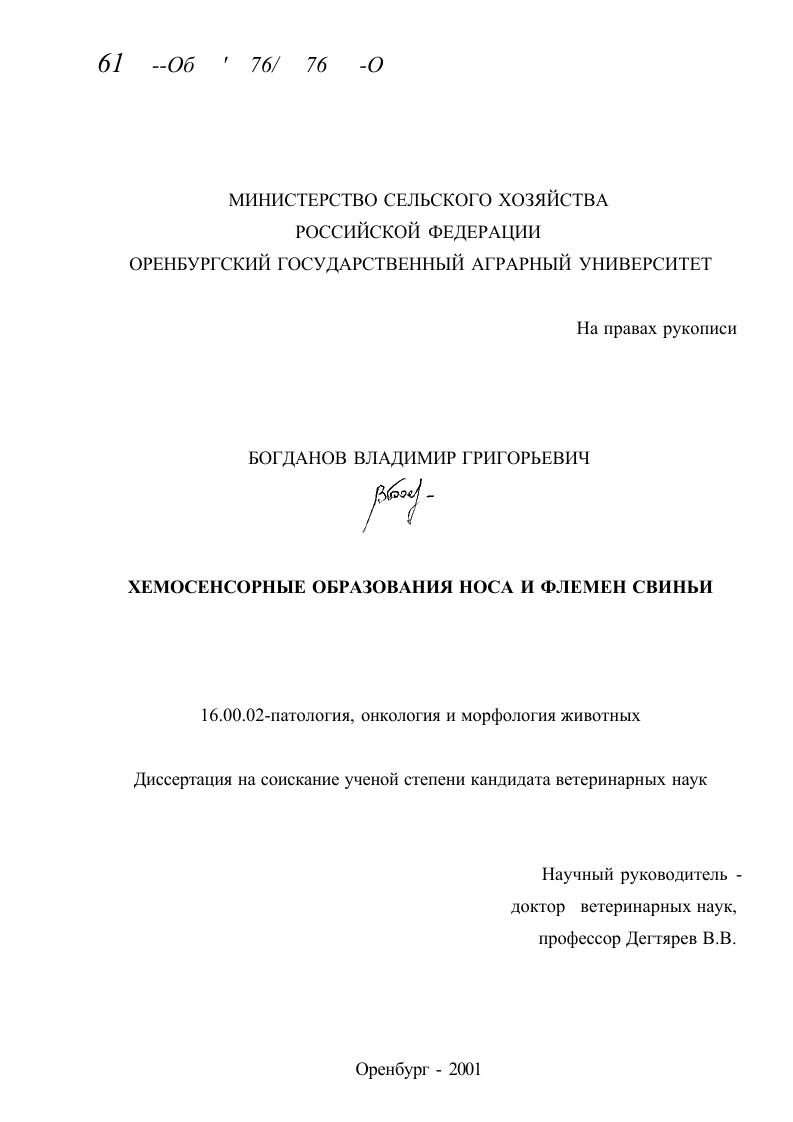 Хемосенсорные образования носа и флемен свиньи