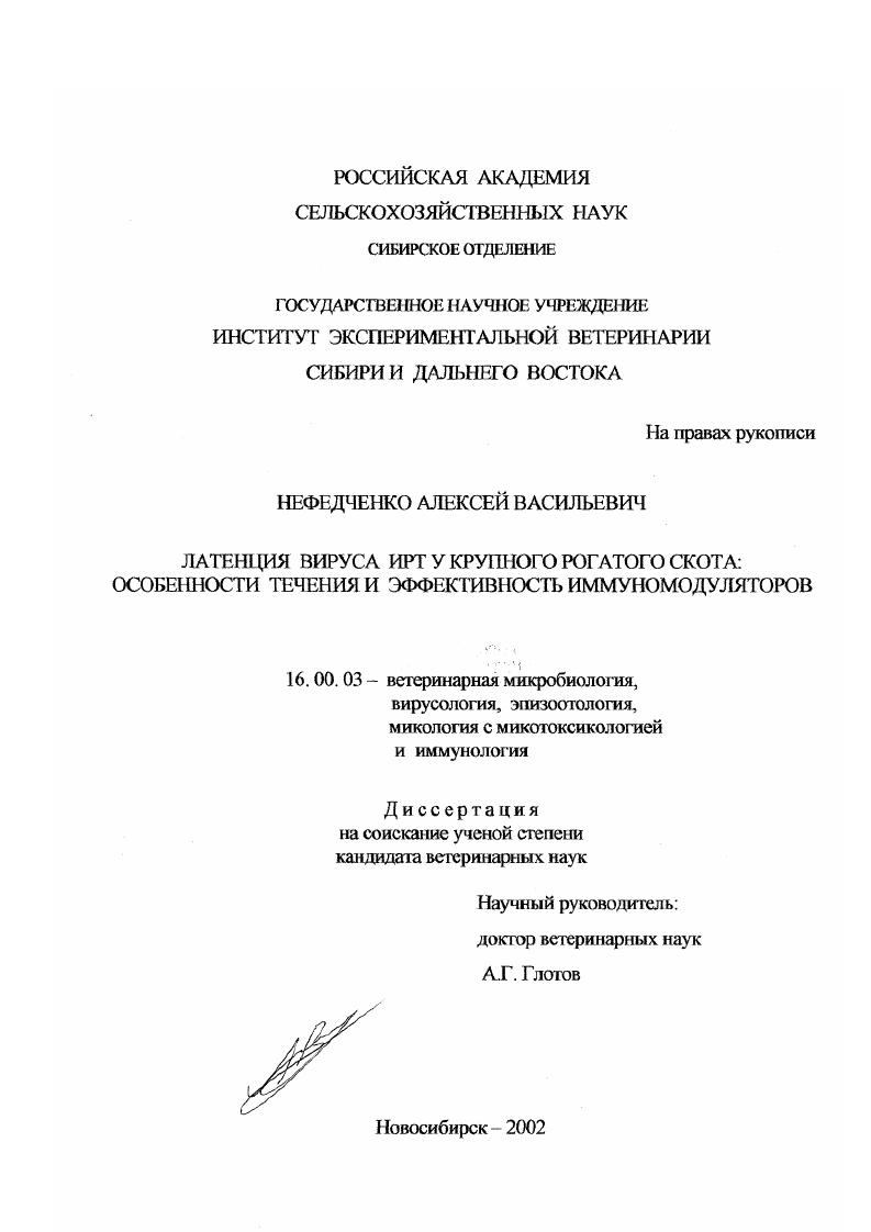Латенция вируса ИРТ у крупного рогатого скота : Особенности течения и эффективность иммуномодуляторов