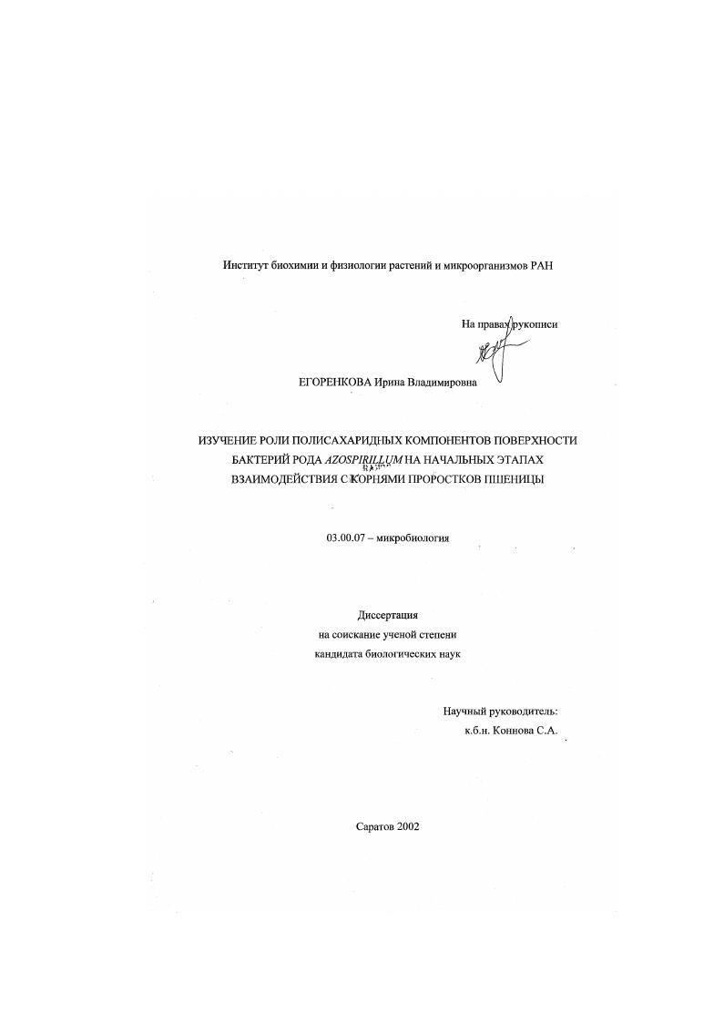скачать диссертацию Изучение роли полисахаридных компонентов поверхности бактерий рода Azospirillum на начальных этапах взаимодействия с корнями проростков пшеницы Изучение роли полисахаридных компонентов поверхности бактерий рода Azospirillum на начальных этапах взаимодействия с корнями проростков пшеницы