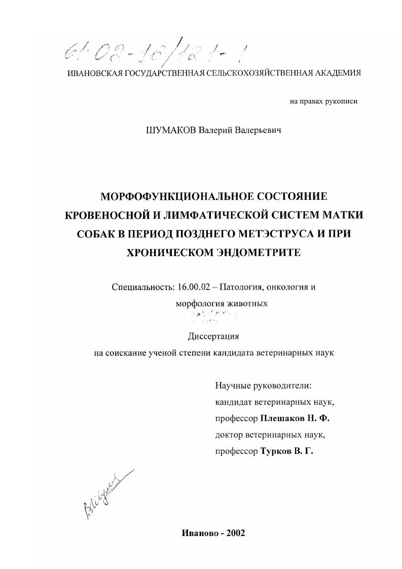 Морфофункциональное состояние кровеносной и лимфатической систем матки собак в период позднего метэструса и при хроническом эндометрите