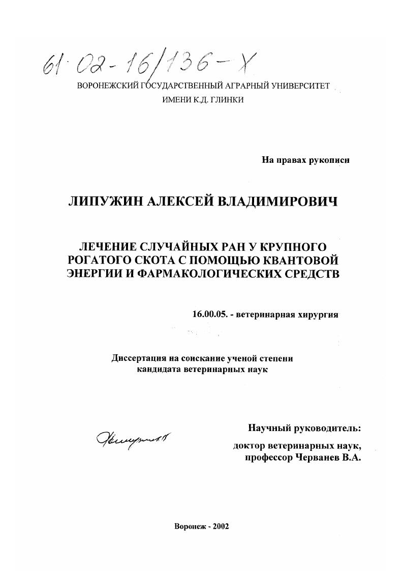 Лечение случайных ран у крупного рогатого скота с помощью квантовой энергии и фармакологических средств