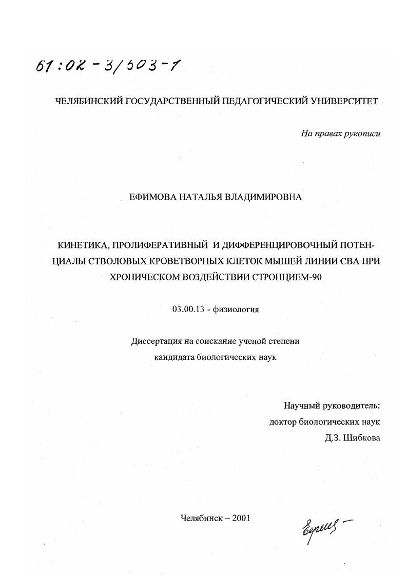 Кинетика, пролиферативный и дифференцировочный потенциалы стволовых кроветворных клеток мышей линии СВА при хроническом радиационном воздействии стронцием-90