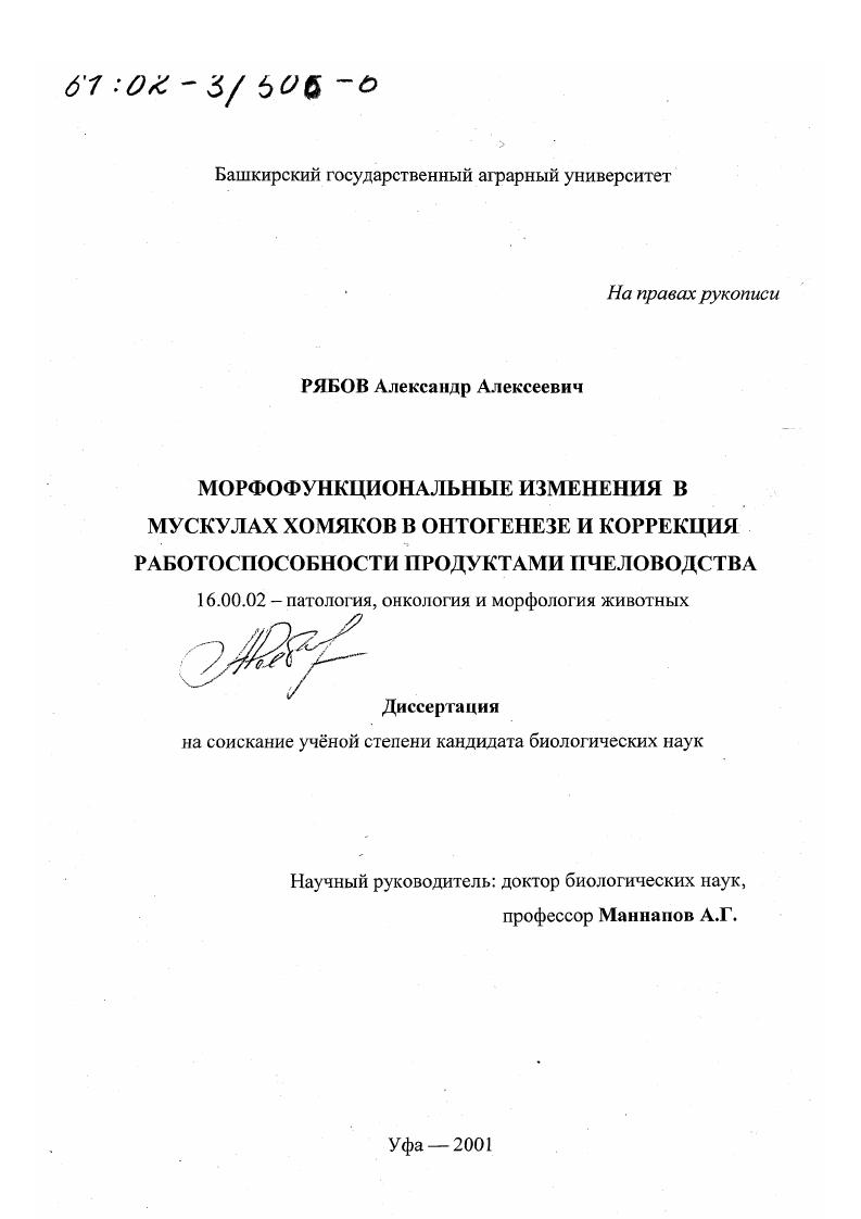 Морфофункциональные изменения в мускулах хомяков в онтогенезе и коррекция работоспособности продуктами пчеловодства