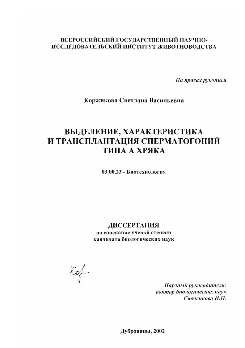 Выделение, характеристика и трансплантация сперматогоний типа А хряка
