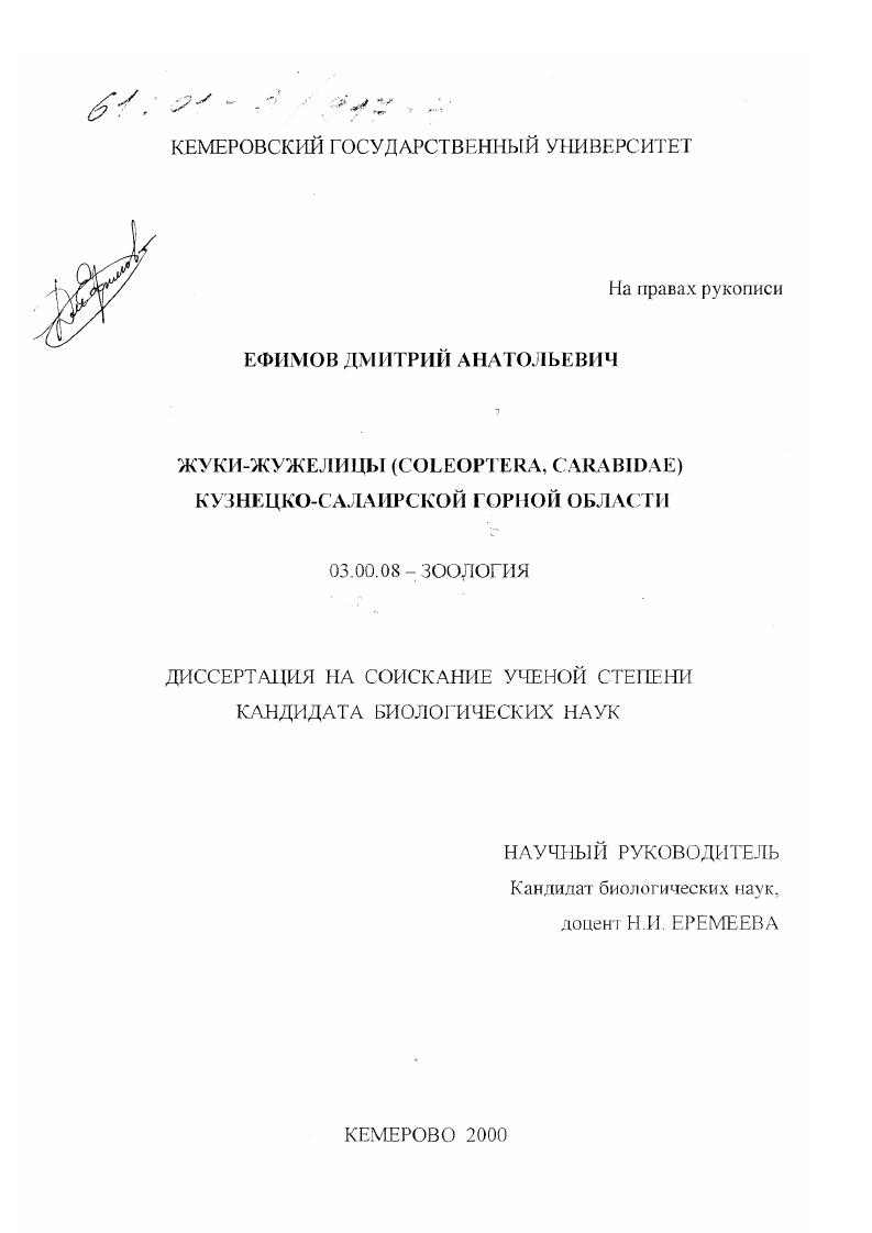 скачать диссертацию Жуки-жужелицы (Coleoptera, Carabidae) Кузнецко-Салаирской горной области Жуки-жужелицы (Coleoptera, Carabidae) Кузнецко-Салаирской горной области