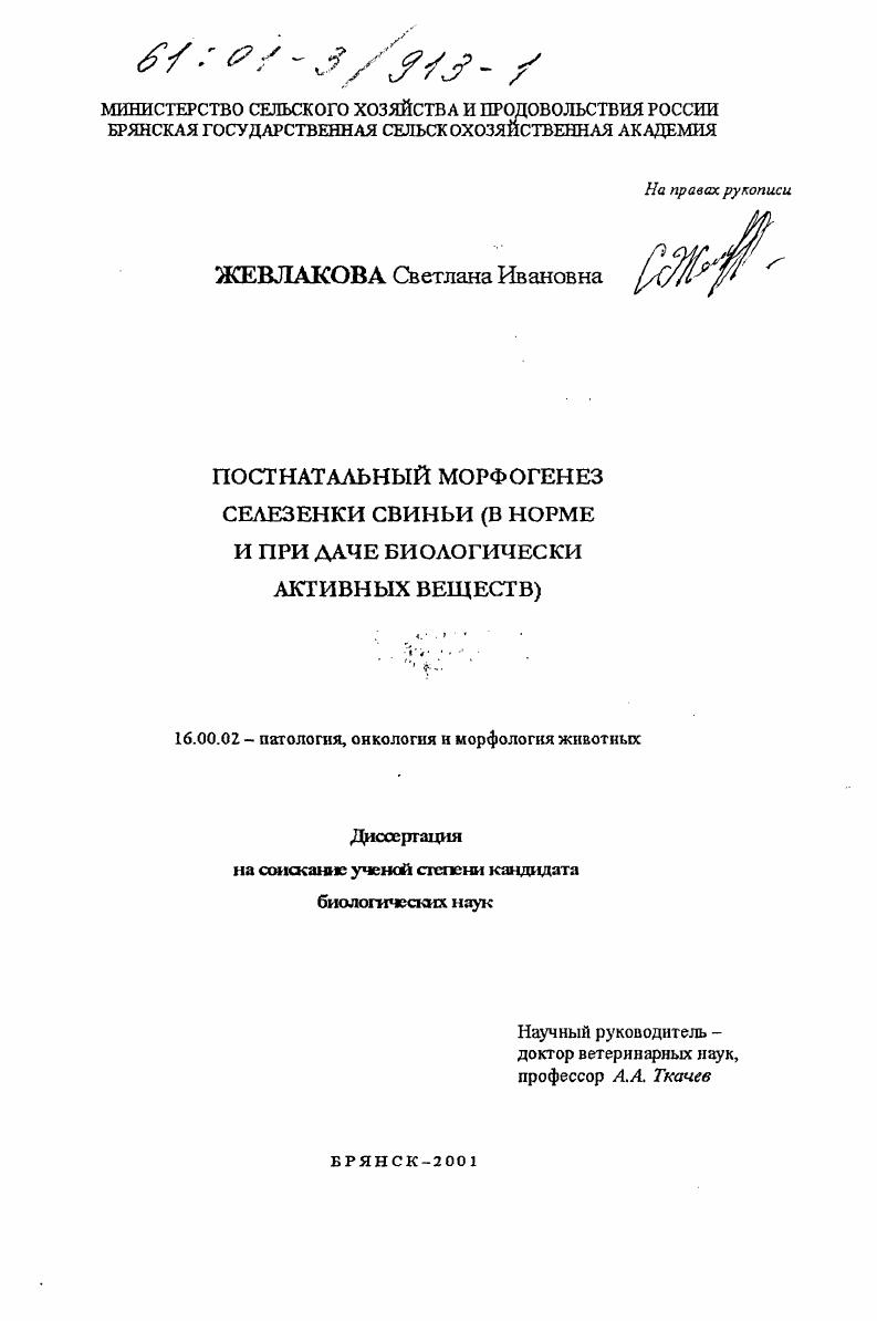 скачать диссертацию Постнатальный морфогенез селезенки свиньи : В норме и при даче биологически активных веществ Постнатальный морфогенез селезенки свиньи : В норме и при даче биологически активных веществ