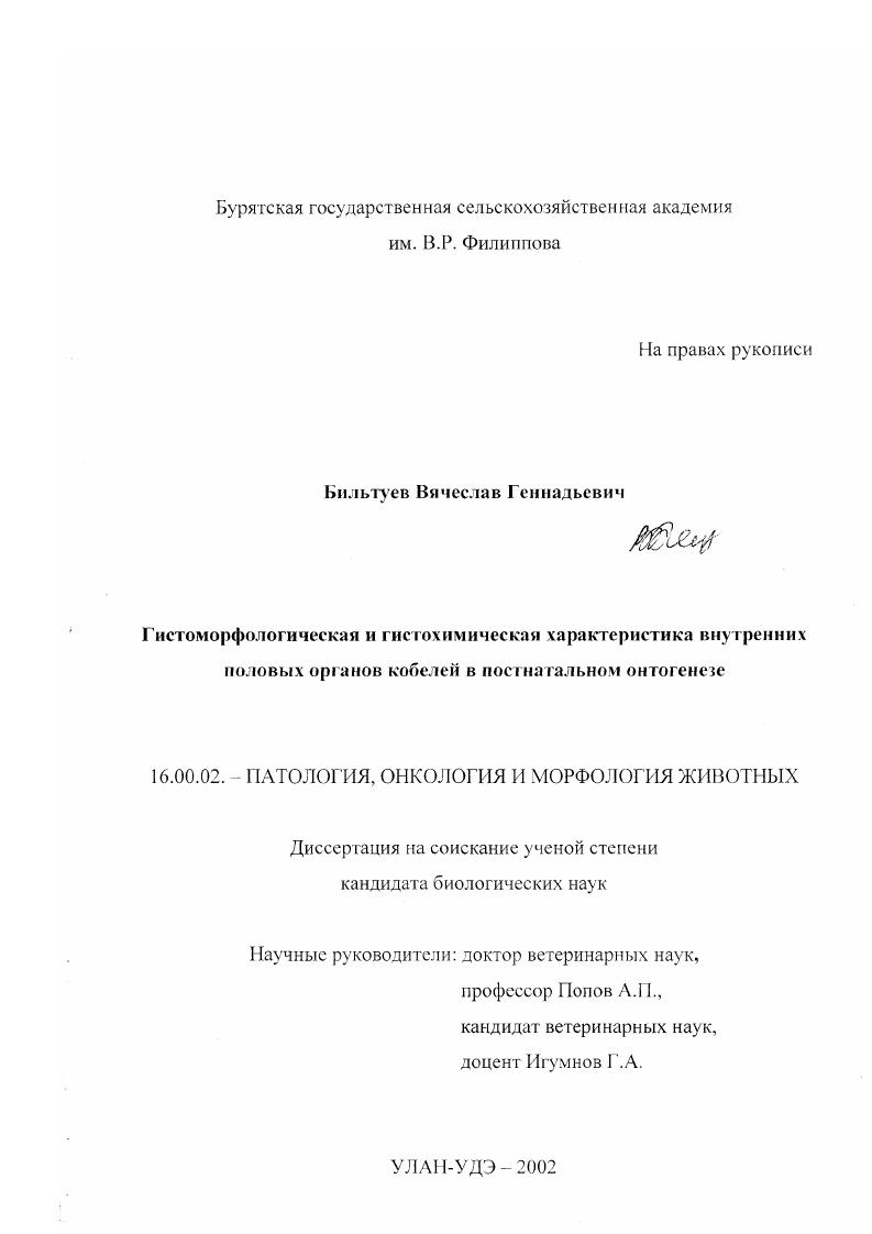 Гистоморфологическая и гистохимическая характеристика внутренних половых органов кобелей в постнатальном онтогенезе