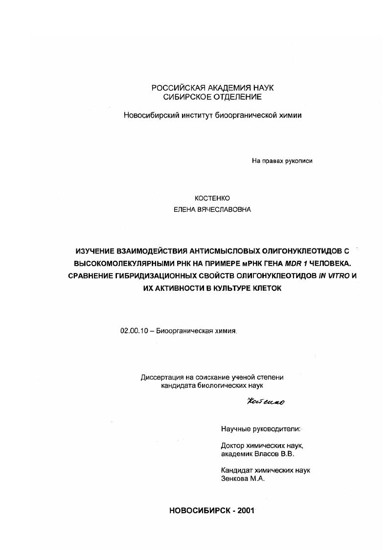 Изучение взаимодействия антисмысловых олигонуклеотидов с высокомолекулярными РНК на примере мРНК гена MDR I человека. Сравнение гибридизационных свойств олигонуклеотидов in vitro и их активности в культуре клеток