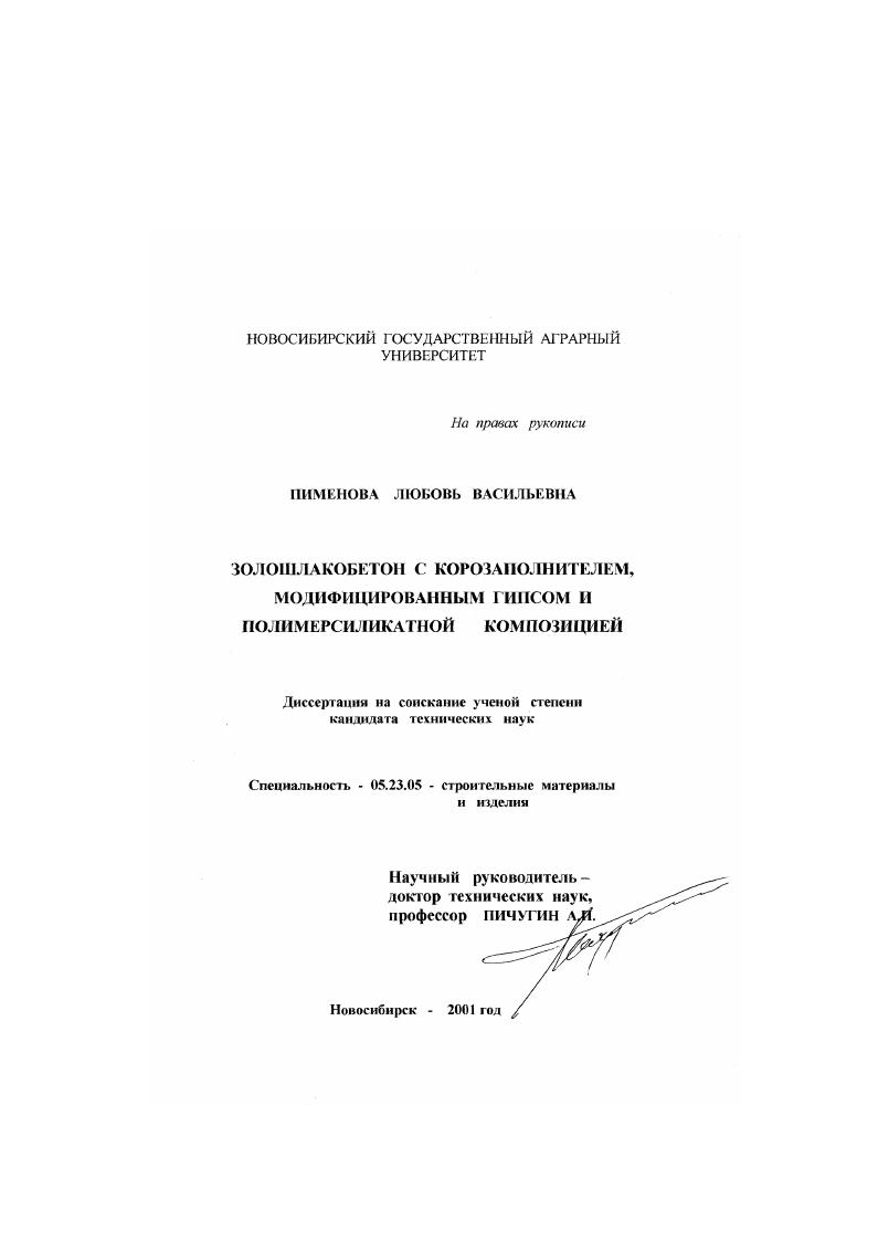 скачать диссертацию Золошлакобетон с корозаполнителем, модифицированным гипсом и полимерсиликатной композицией Золошлакобетон с корозаполнителем, модифицированным гипсом и полимерсиликатной композицией