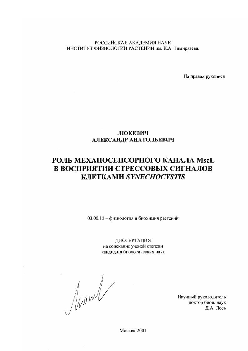 Роль механосенсорного канала MscL в восприятии стрессовых сигналов клетками Synechocystis
