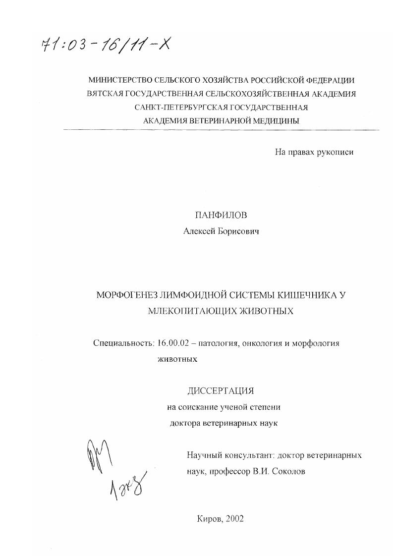 Морфогенез лимфоидной системы кишечника у млекопитающих животных