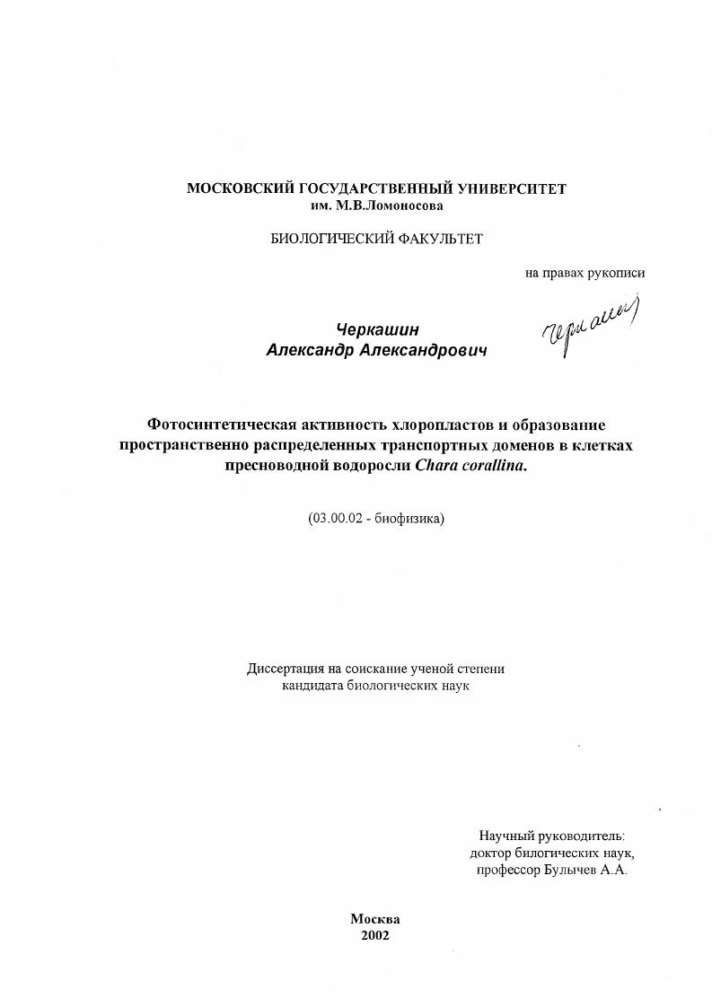 Фотосинтетическая активность хлоропластов и образование пространственно распределенных транспортных доменов в клетках пресноводной водоросли Chara corallina