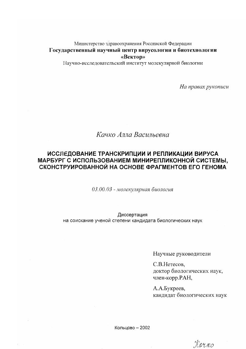 скачать диссертацию Исследование транскрипции и репликации вируса Марбург с использованием минирепликонной системы, сконструированной на основе фрагментов его генома Исследование транскрипции и репликации вируса Марбург с использованием минирепликонной системы, сконструированной на основе фрагментов его генома