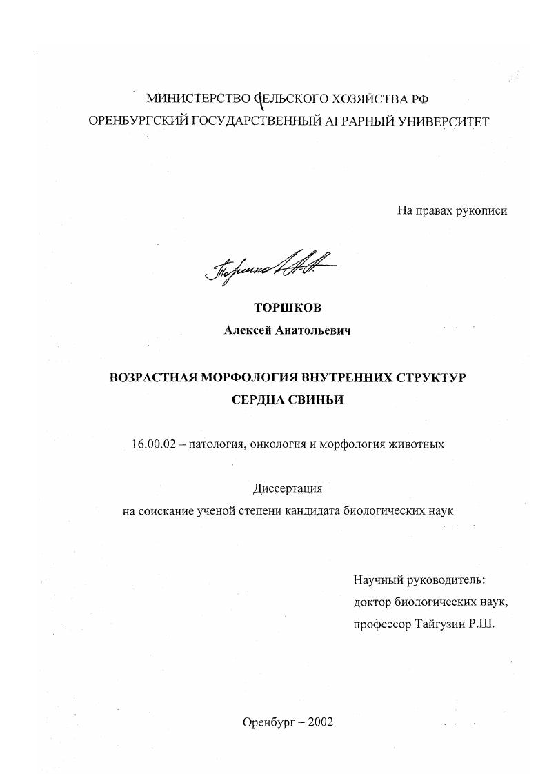 Возрастная морфология внутренних структур сердца свиньи