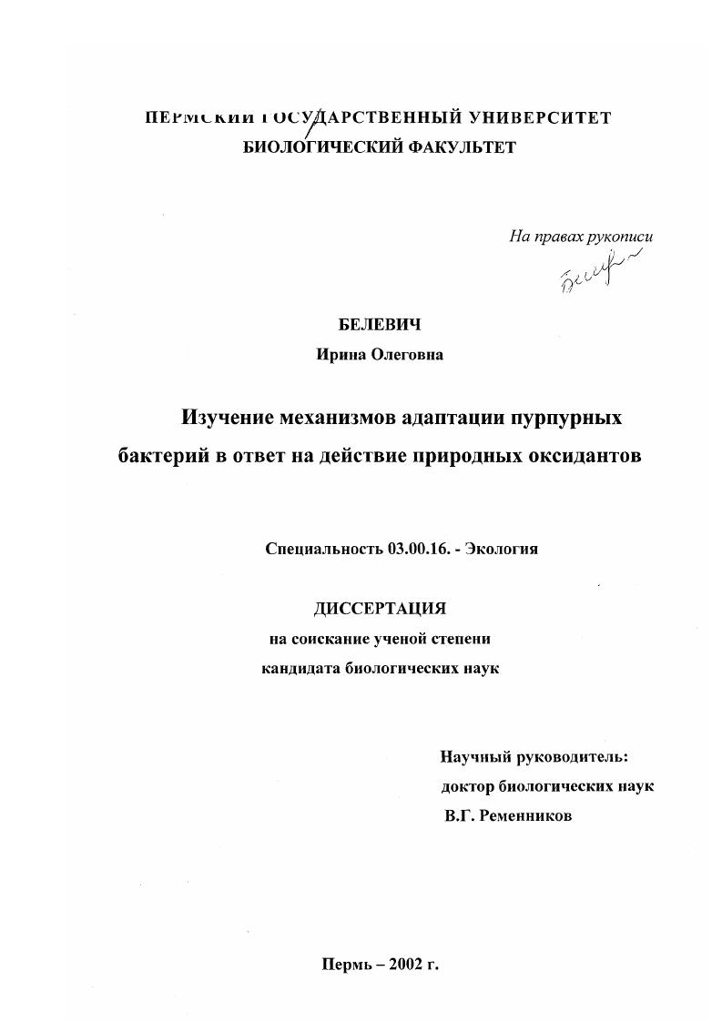 Изучение механизмов адаптации пурпурных бактерий в ответ на действие природных оксидантов