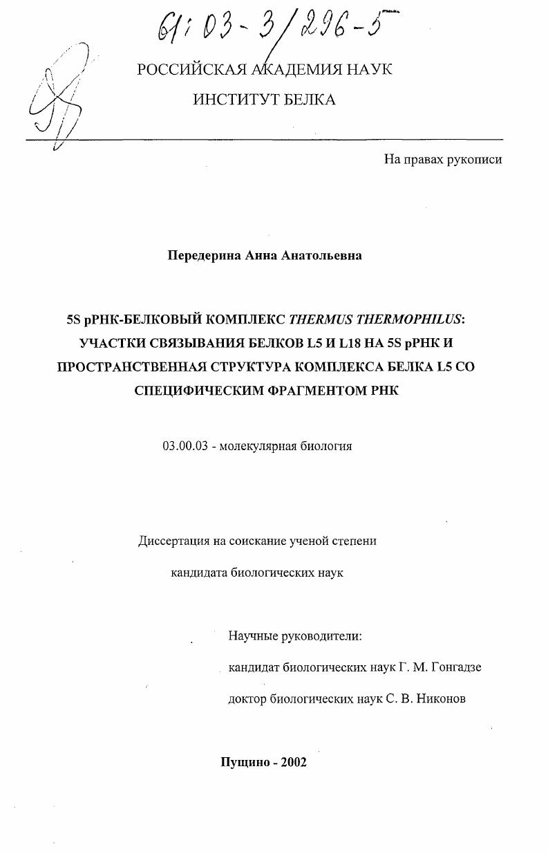 скачать диссертацию 5S pPHK-белковый комплекс THERMUS THERMOPHILUS: участки связывания белков L5 и L18 на 5S pPHK и пространственная структура комплекса белка L5 со специфическим фрагментом PHK 5S pPHK-белковый комплекс THERMUS THERMOPHILUS: участки связывания белков L5 и L18 на 5S pPHK и пространственная структура комплекса белка L5 со специфическим фрагментом PHK