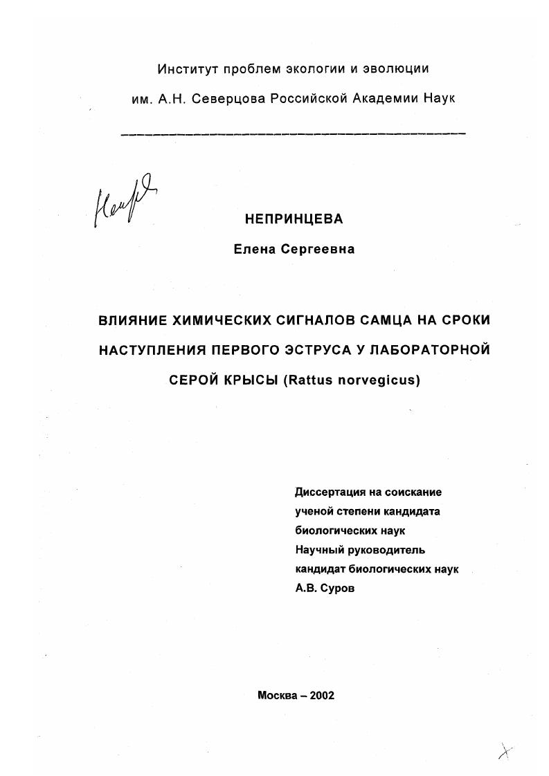 скачать диссертацию Влияние химических сигналов самца на сроки наступления первого эструса у лабораторной серой крысы (Rattus norvegicus) Влияние химических сигналов самца на сроки наступления первого эструса у лабораторной серой крысы (Rattus norvegicus)
