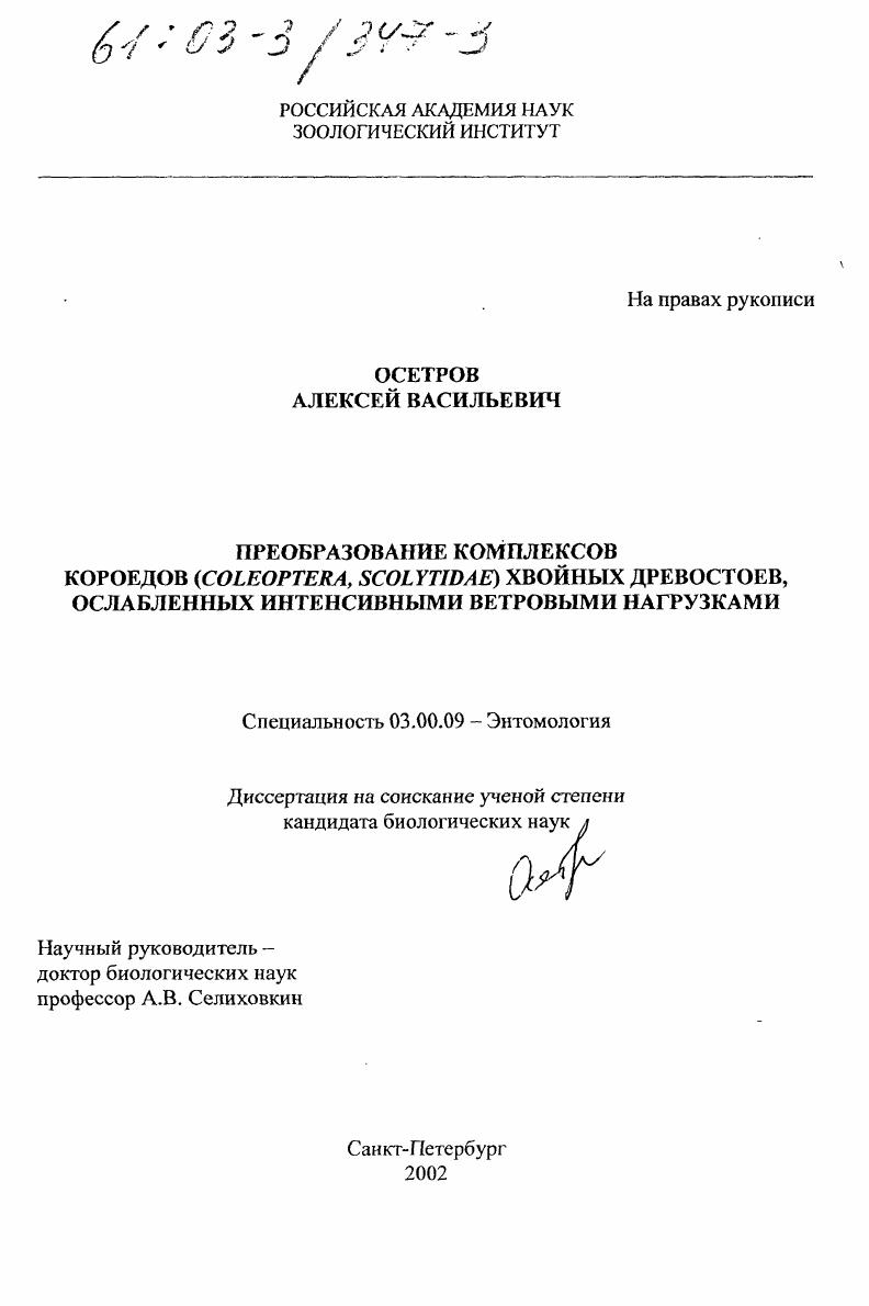 Преобразование комплексов короедов (Coleoptera, Scolytidae) хвойных древостоев, ослабленных интенсивными ветровыми нагрузками