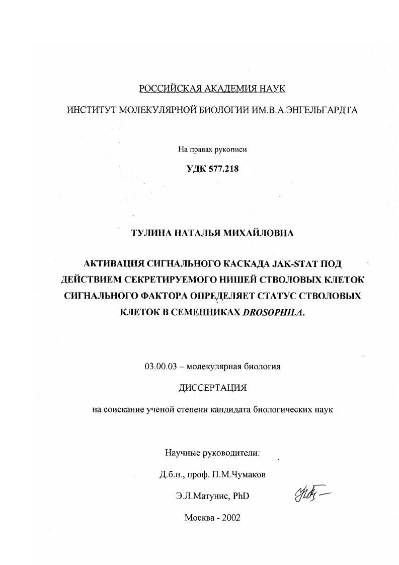 Активация сигнального каскада Jak-Stat под действием секретируемого нишей стволовых клеток сигнального фактора определяет статус стволовых клеток в семенниках Drosophila
