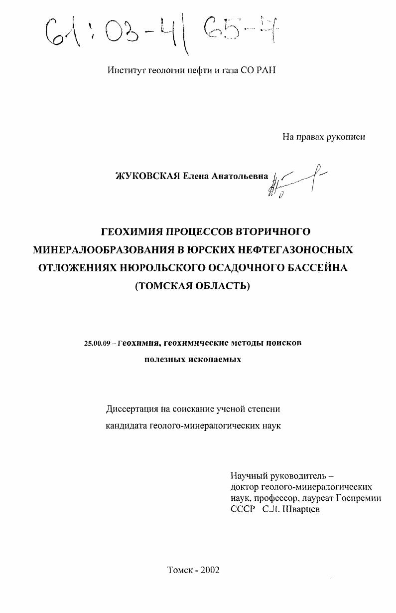 Геохимия процессов вторичного минералообразования в юрских нефтегазоносных отложениях Нюрольского осадочного бассейна : Томская область