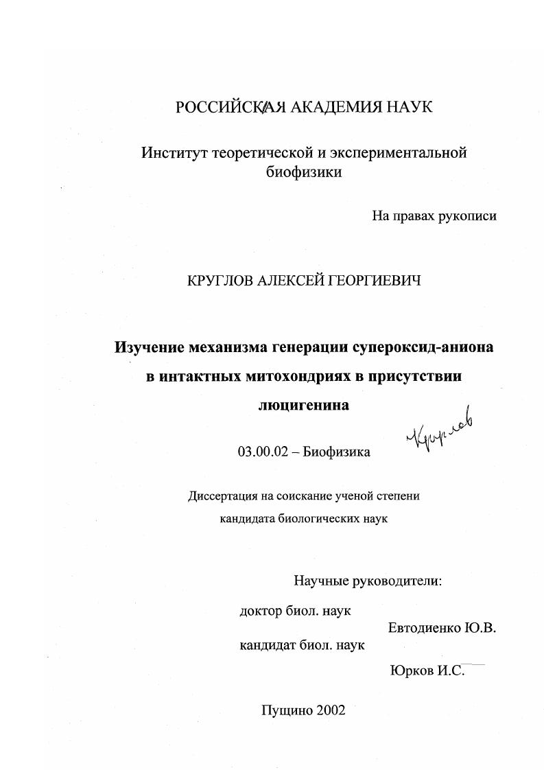 Изучение механизма генерации супероксид-аниона в интрактных митохондриях в присутствии люцигенина