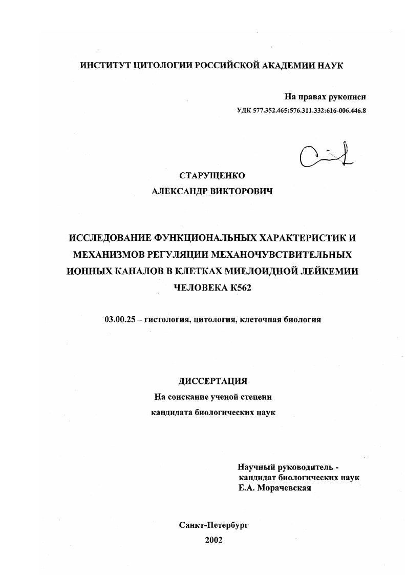 Исследование функциональных характеристик и механизмов регуляции механочувствительных ионных каналов в клетках миелоидной лейкемии человека К562