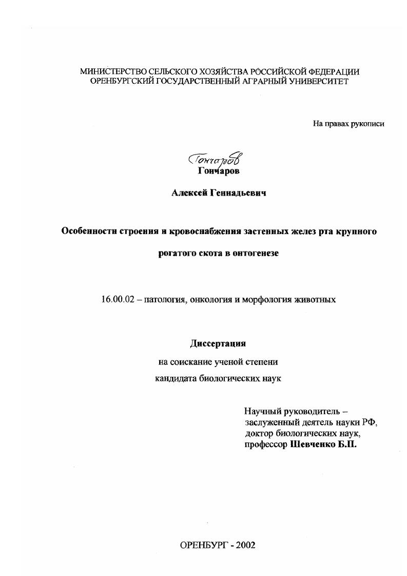 Особенности строения и кровоснабжения застенных желез рта крупного рогатого скота в онтогенезе