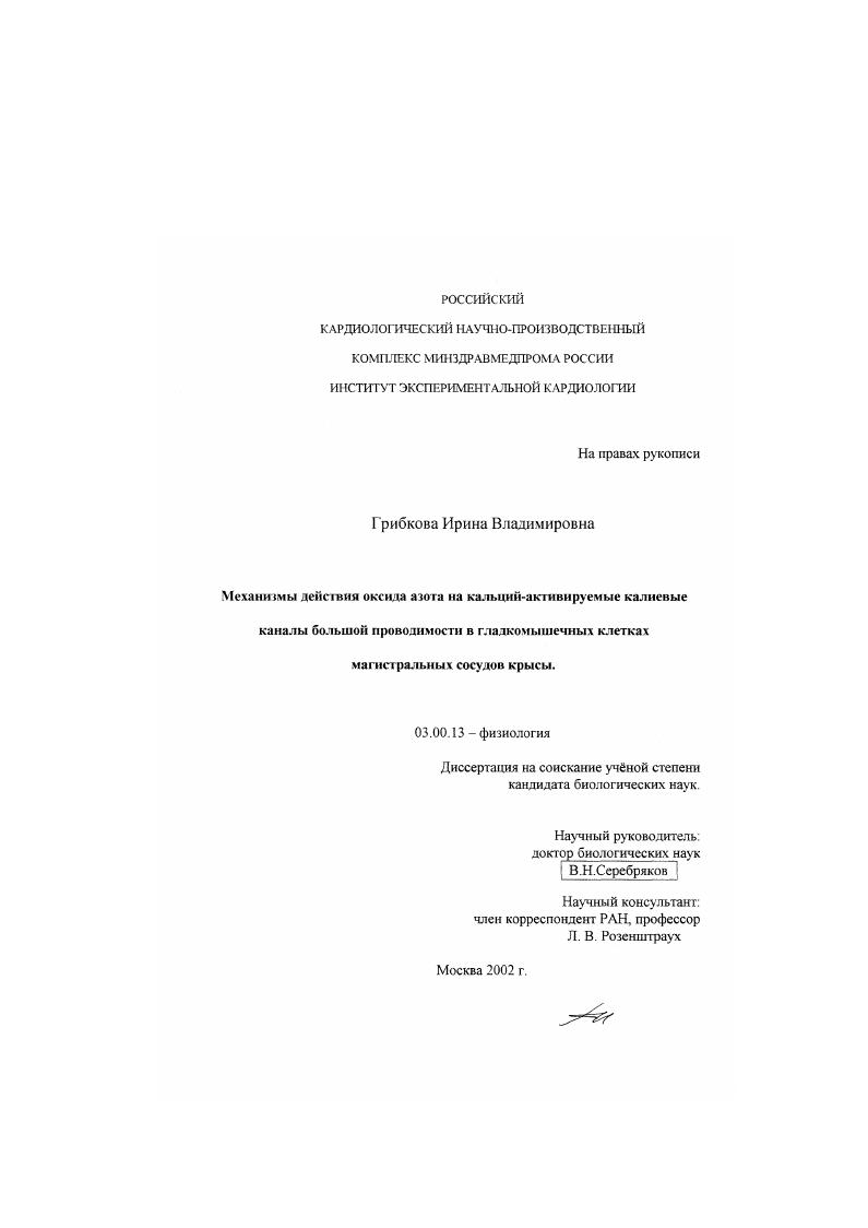 Механизмы действия оксида азота на кальций-активируемые калиевые каналы большой проводимости в гладкомышечных клетках магистральных сосудов крысы