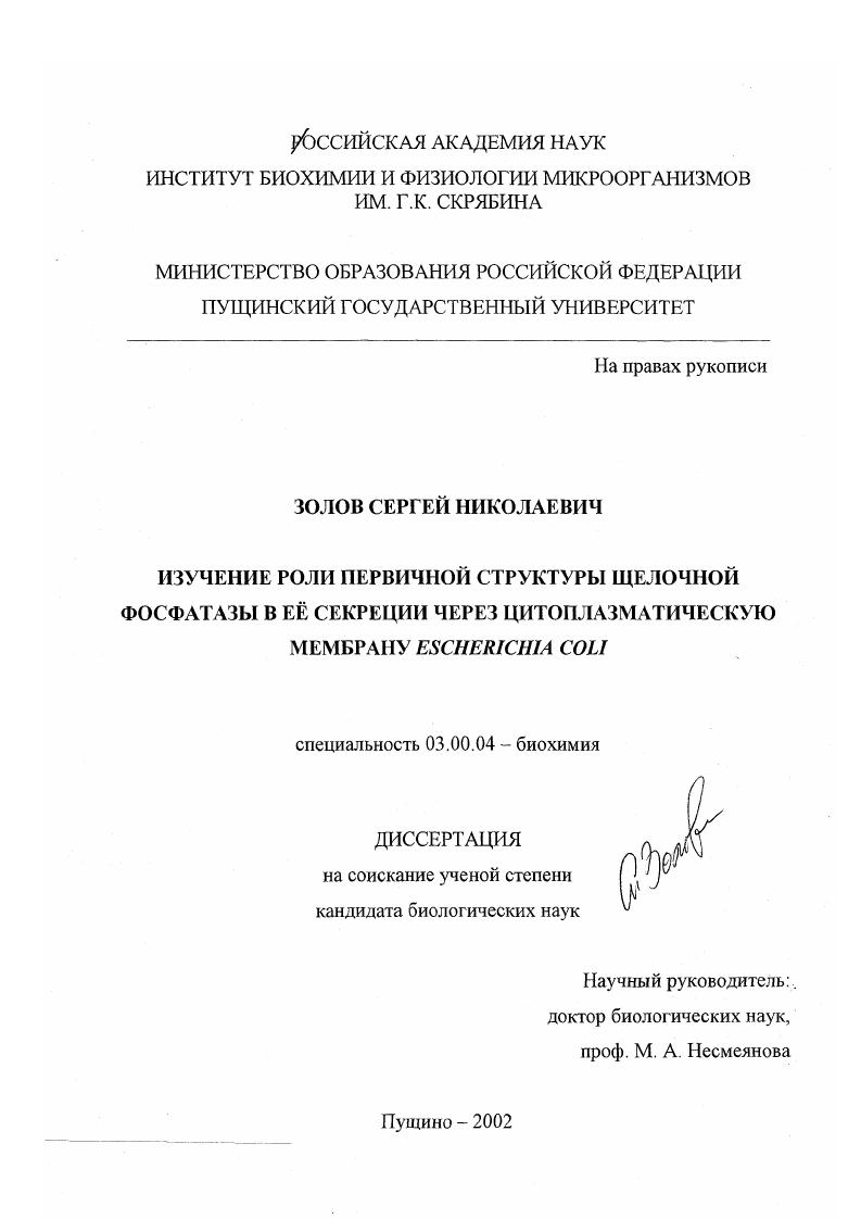 скачать диссертацию Изучение роли первичной структуры щелочной фосфатазы и ее секреция через цитоплазматическую мембрану Escherichia coli Изучение роли первичной структуры щелочной фосфатазы и ее секреция через цитоплазматическую мембрану Escherichia coli